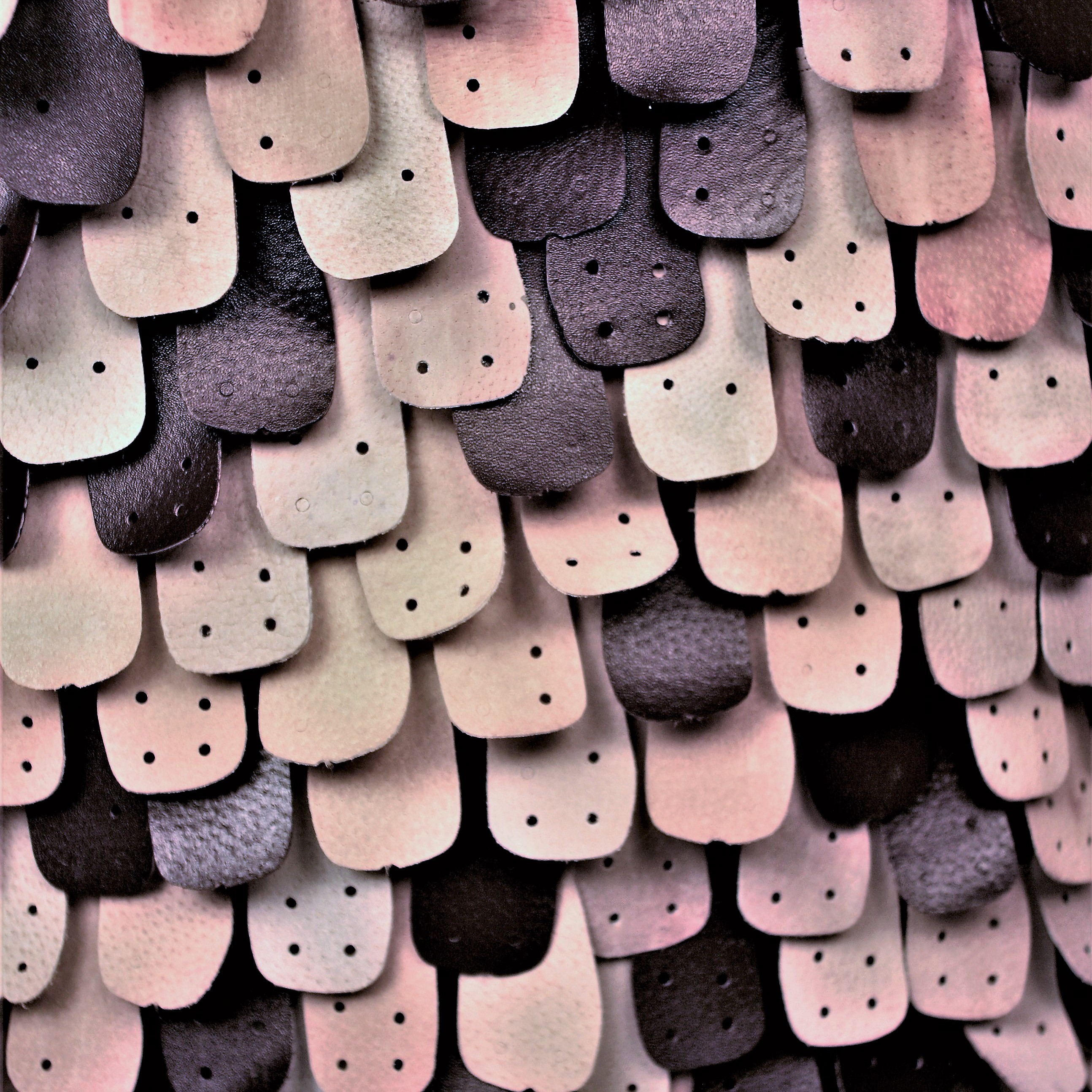 pangolin schuppen detail quadrat